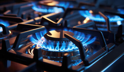 WhatsApp Image 2025-02-13 at 17.17.35 (1)